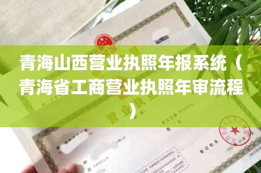 青海山西营业执照年报系统（青海省工商营业执照年审流程）