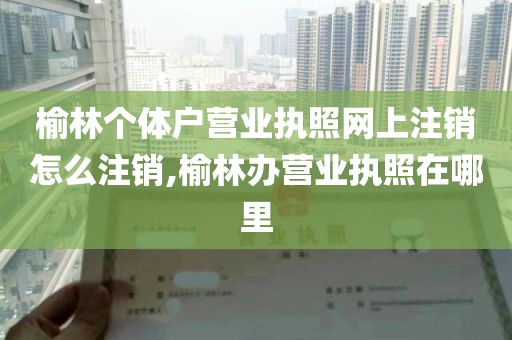 榆林个体户营业执照网上注销怎么注销,榆林办营业执照在哪里