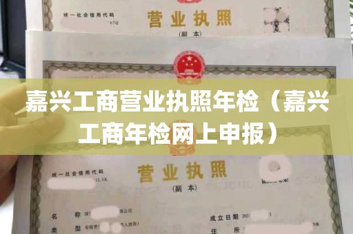 嘉兴工商营业执照年检（嘉兴工商年检网上申报）