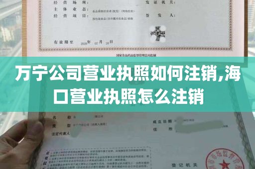 万宁公司营业执照如何注销,海口营业执照怎么注销