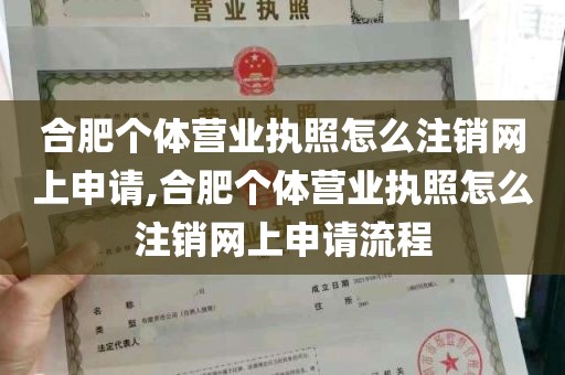 合肥个体营业执照怎么注销网上申请,合肥个体营业执照怎么注销网上申请流程