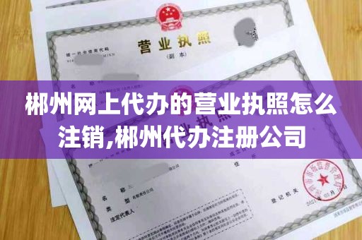 郴州网上代办的营业执照怎么注销,郴州代办注册公司