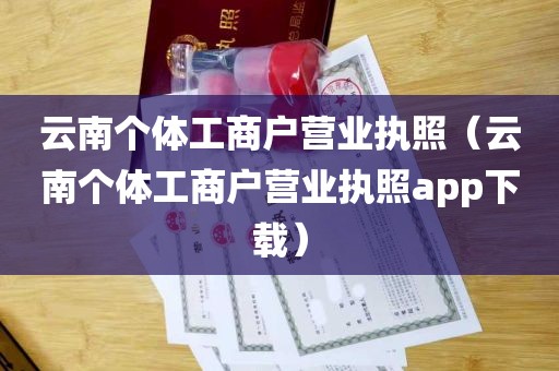云南个体工商户营业执照（云南个体工商户营业执照app下载）