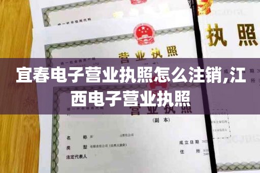 宜春电子营业执照怎么注销,江西电子营业执照