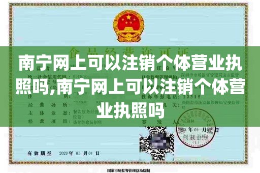 南宁网上可以注销个体营业执照吗,南宁网上可以注销个体营业执照吗