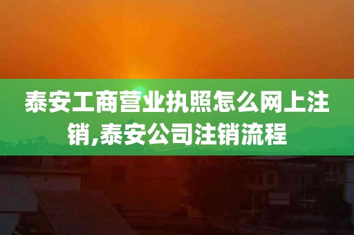 泰安工商营业执照怎么网上注销,泰安公司注销流程