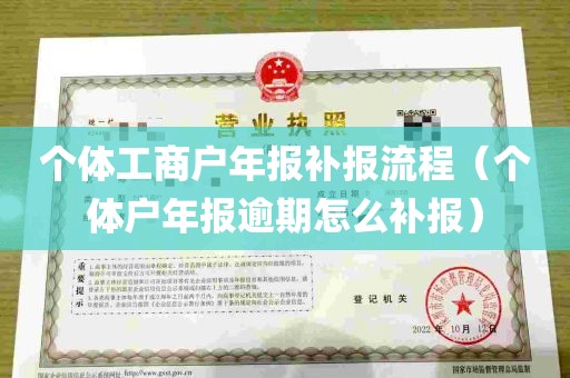 个体工商户年报补报流程（个体户年报逾期怎么补报）