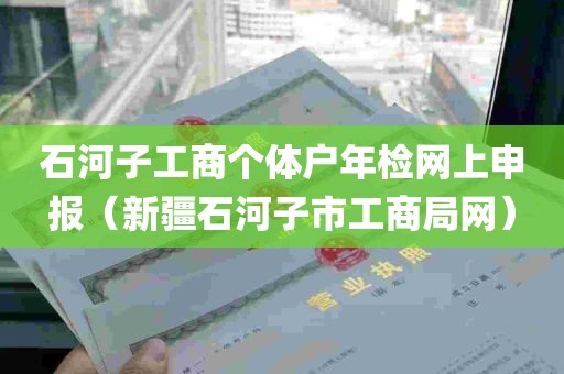 石河子工商个体户年检网上申报（新疆石河子市工商局网）