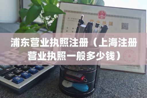 浦东营业执照注册（上海注册营业执照一般多少钱）
