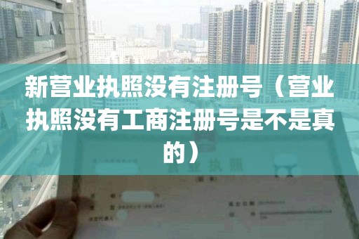 新营业执照没有注册号（营业执照没有工商注册号是不是真的）