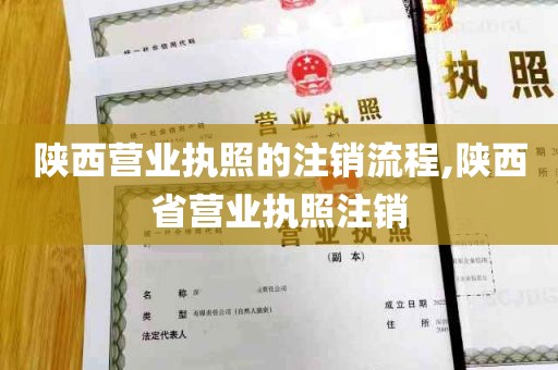 陕西营业执照的注销流程,陕西省营业执照注销