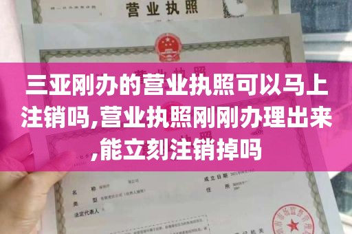 三亚刚办的营业执照可以马上注销吗,营业执照刚刚办理出来,能立刻注销掉吗