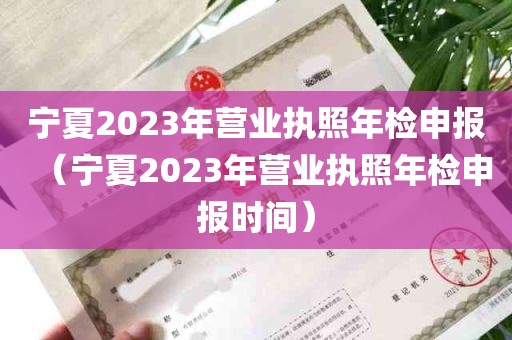 宁夏2023年营业执照年检申报（宁夏2023年营业执照年检申报时间）