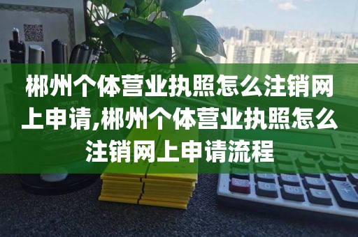 郴州个体营业执照怎么注销网上申请,郴州个体营业执照怎么注销网上申请流程