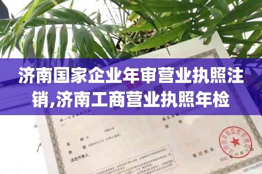 济南国家企业年审营业执照注销,济南工商营业执照年检