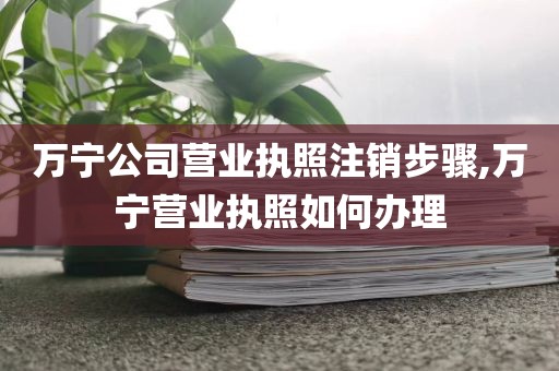 万宁公司营业执照注销步骤,万宁营业执照如何办理