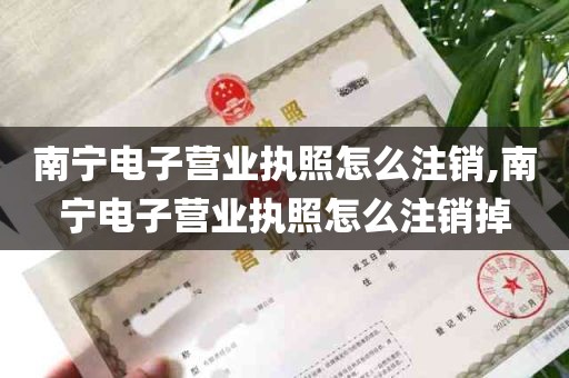 南宁电子营业执照怎么注销,南宁电子营业执照怎么注销掉