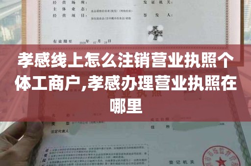 孝感线上怎么注销营业执照个体工商户,孝感办理营业执照在哪里