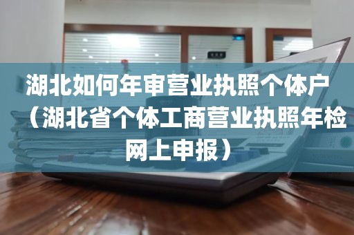 湖北如何年审营业执照个体户（湖北省个体工商营业执照年检网上申报）