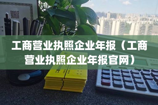 工商营业执照企业年报（工商营业执照企业年报官网）