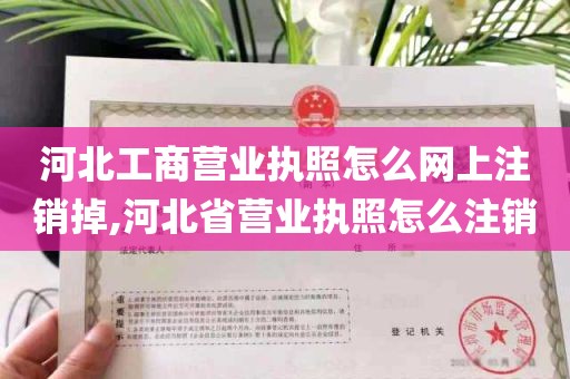 河北工商营业执照怎么网上注销掉,河北省营业执照怎么注销