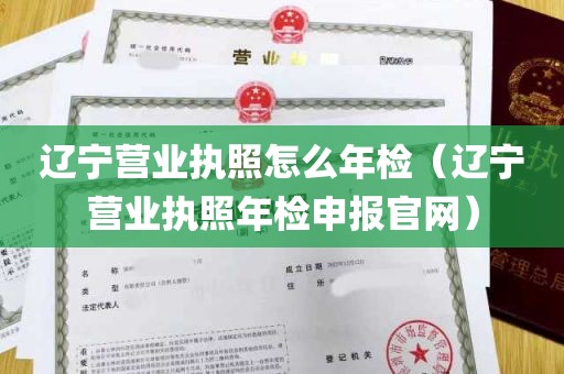 辽宁营业执照怎么年检（辽宁营业执照年检申报官网）