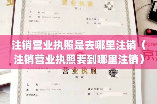 注销营业执照是去哪里注销（注销营业执照要到哪里注销）