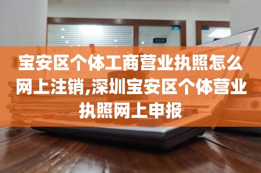 宝安区个体工商营业执照怎么网上注销,深圳宝安区个体营业执照网上申报