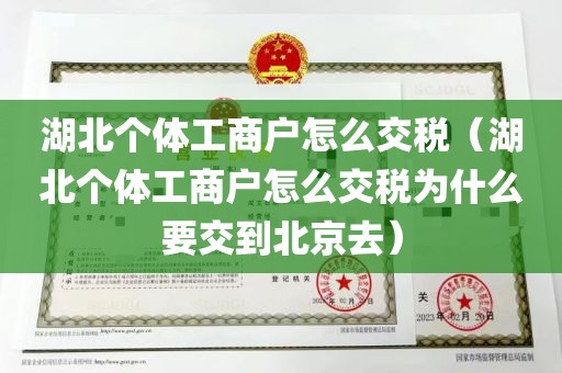 湖北个体工商户怎么交税（湖北个体工商户怎么交税为什么要交到北京去）