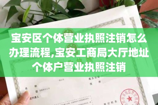 宝安区个体营业执照注销怎么办理流程,宝安工商局大厅地址个体户营业执照注销