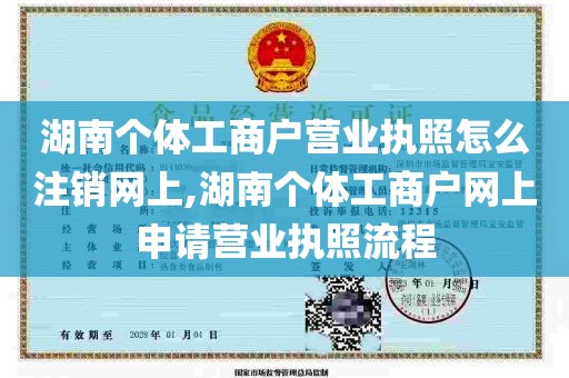 湖南个体工商户营业执照怎么注销网上,湖南个体工商户网上申请营业执照流程