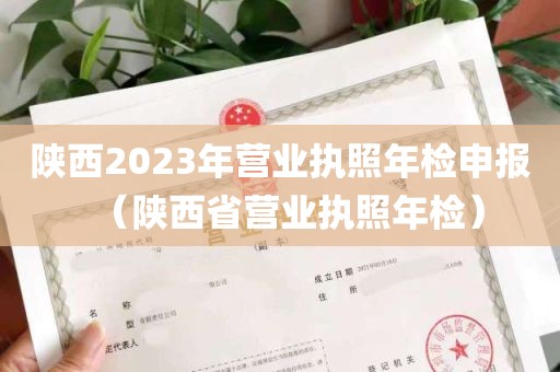 陕西2023年营业执照年检申报（陕西省营业执照年检）