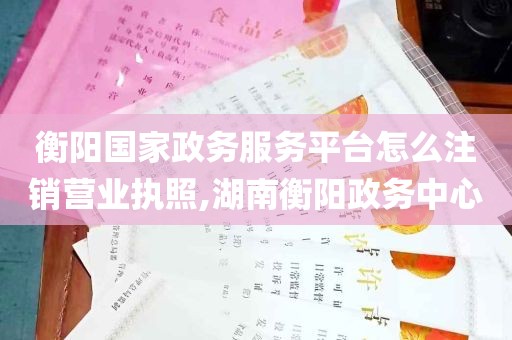 衡阳国家政务服务平台怎么注销营业执照,湖南衡阳政务中心