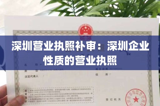 深圳营业执照补审：深圳企业性质的营业执照