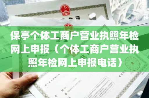 保亭个体工商户营业执照年检网上申报（个体工商户营业执照年检网上申报电话）