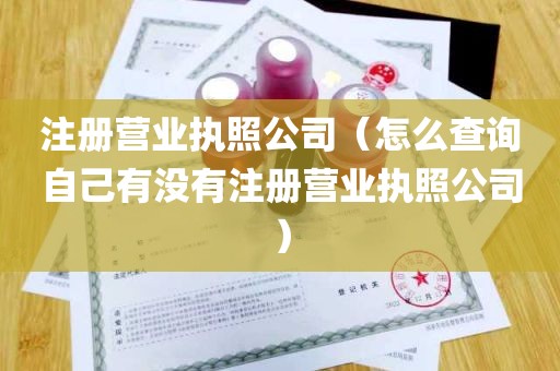 注册营业执照公司（怎么查询自己有没有注册营业执照公司）