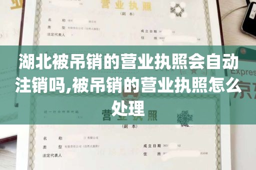 湖北被吊销的营业执照会自动注销吗,被吊销的营业执照怎么处理