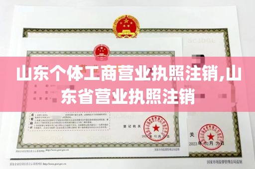 山东个体工商营业执照注销,山东省营业执照注销