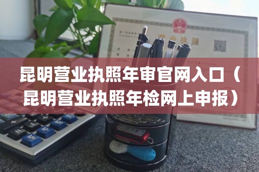 昆明营业执照年审官网入口（昆明营业执照年检网上申报）