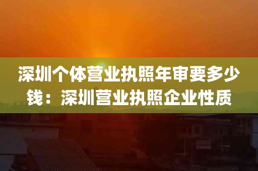 深圳个体营业执照年审要多少钱：深圳营业执照企业性质