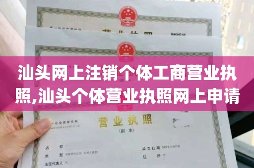 汕头网上注销个体工商营业执照,汕头个体营业执照网上申请