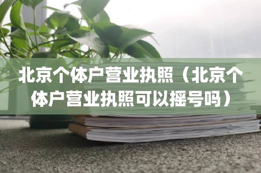 北京个体户营业执照（北京个体户营业执照可以摇号吗）