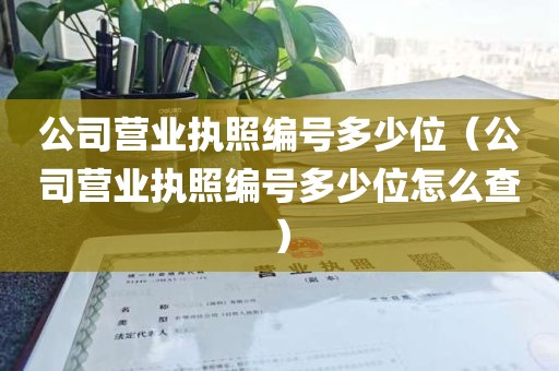 公司营业执照编号多少位（公司营业执照编号多少位怎么查）