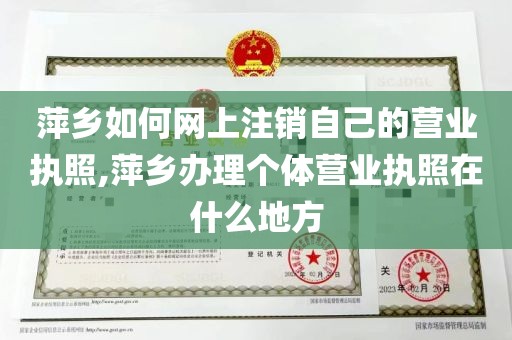 萍乡如何网上注销自己的营业执照,萍乡办理个体营业执照在什么地方