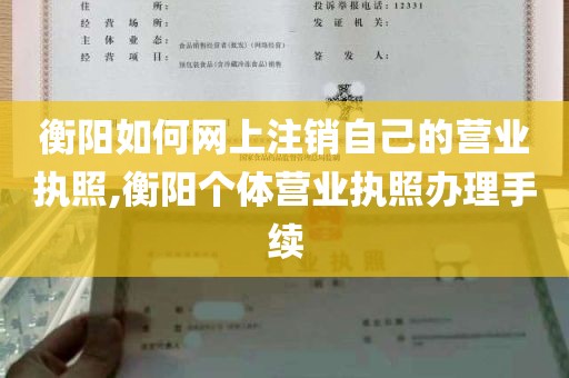 衡阳如何网上注销自己的营业执照,衡阳个体营业执照办理手续