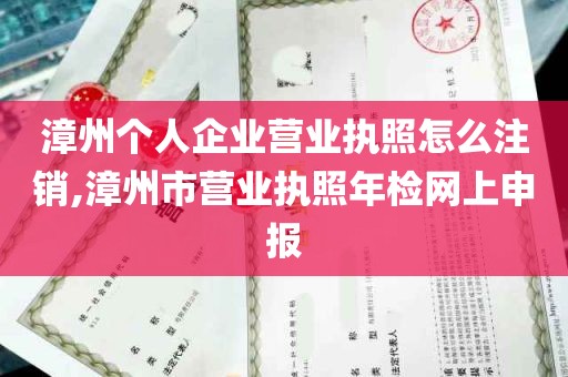 漳州个人企业营业执照怎么注销,漳州市营业执照年检网上申报