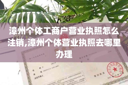 漳州个体工商户营业执照怎么注销,漳州个体营业执照去哪里办理