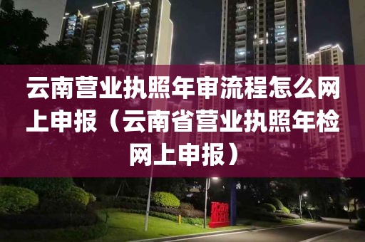 云南营业执照年审流程怎么网上申报（云南省营业执照年检网上申报）