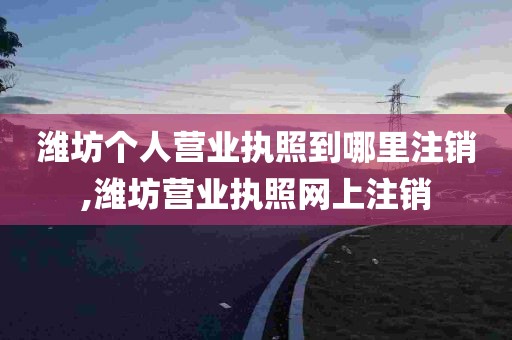 潍坊个人营业执照到哪里注销,潍坊营业执照网上注销