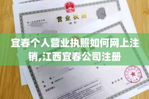 宜春个人营业执照如何网上注销,江西宜春公司注册